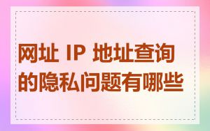 网址 IP 地址查询的隐私问题有哪些