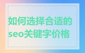 如何选择合适的seo关键字价格