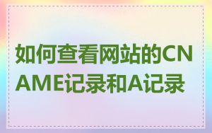 如何查看网站的CNAME记录和A记录