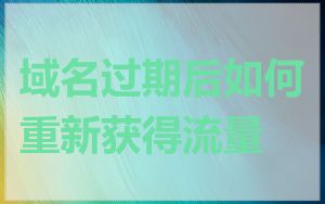域名过期后如何重新获得流量
