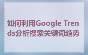 如何利用Google Trends分析搜索关键词趋势