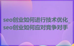 seo创业如何进行技术优化_seo创业如何应对竞争对手
