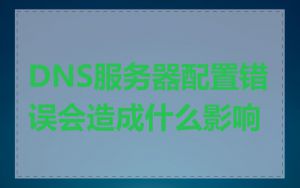 DNS服务器配置错误会造成什么影响