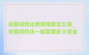 关键词优化费用预算怎么算_关键词优化一般需要多少资金