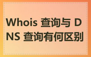 Whois 查询与 DNS 查询有何区别