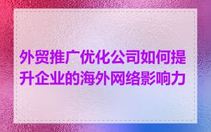 外贸推广优化公司如何提升企业的海外网络影响力