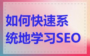 如何快速系统地学习SEO