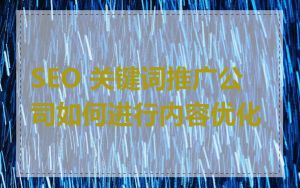 SEO 关键词推广公司如何进行内容优化