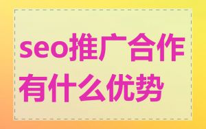 seo推广合作有什么优势
