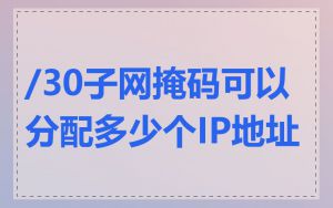 /30子网掩码可以分配多少个IP地址