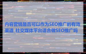 内容营销是否可以作为SEO推广的有效渠道_社交媒体平台适合做SEO推广吗