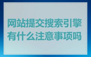 网站提交搜索引擎有什么注意事项吗