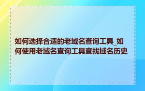 如何选择合适的老域名查询工具_如何使用老域名查询工具查找域名历史