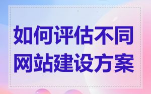 如何评估不同网站建设方案