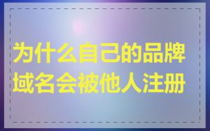 为什么自己的品牌域名会被他人注册