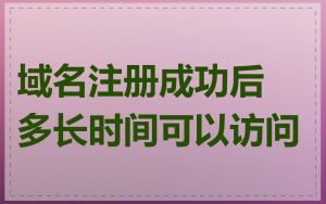 域名注册成功后多长时间可以访问