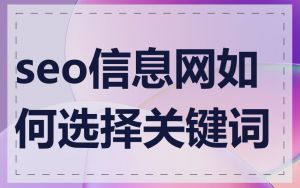 seo信息网如何选择关键词
