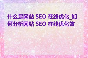什么是网站 SEO 在线优化_如何分析网站 SEO 在线优化效果