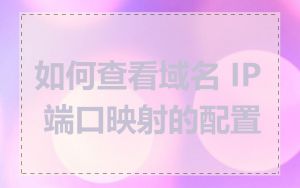 如何查看域名 IP 端口映射的配置