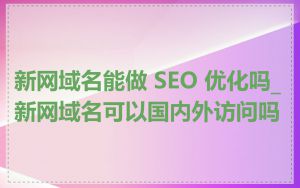 新网域名能做 SEO 优化吗_新网域名可以国内外访问吗