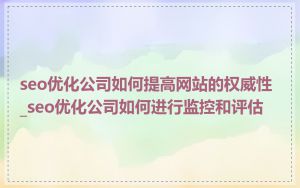 seo优化公司如何提高网站的权威性_seo优化公司如何进行监控和评估