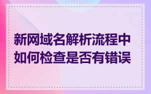 新网域名解析流程中如何检查是否有错误