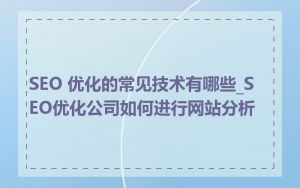 SEO 优化的常见技术有哪些_SEO优化公司如何进行网站分析