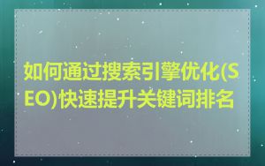 如何通过搜索引擎优化(SEO)快速提升关键词排名
