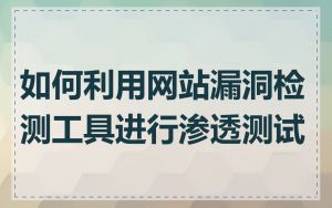 如何利用网站漏洞检测工具进行渗透测试