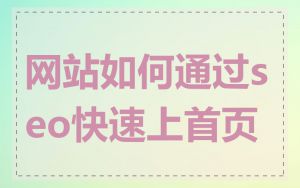 网站如何通过seo快速上首页