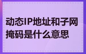 动态IP地址和子网掩码是什么意思
