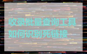 收录批量查询工具如何识别死链接