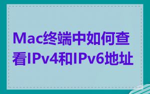 Mac终端中如何查看IPv4和IPv6地址