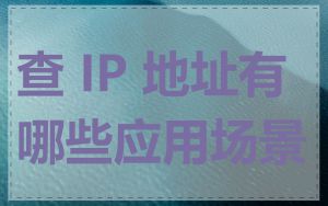 查 IP 地址有哪些应用场景