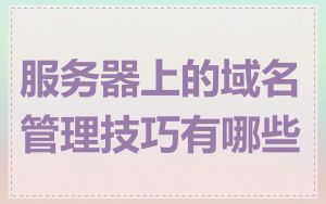 服务器上的域名管理技巧有哪些