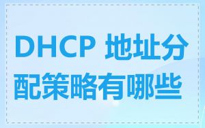 DHCP 地址分配策略有哪些