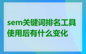 sem关键词排名工具使用后有什么变化