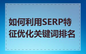 如何利用SERP特征优化关键词排名