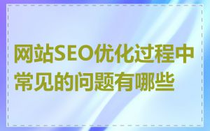 网站SEO优化过程中常见的问题有哪些