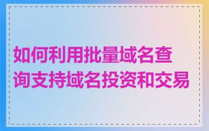 如何利用批量域名查询支持域名投资和交易