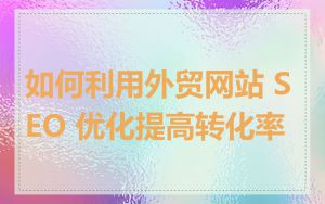 如何利用外贸网站 SEO 优化提高转化率