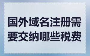 国外域名注册需要交纳哪些税费