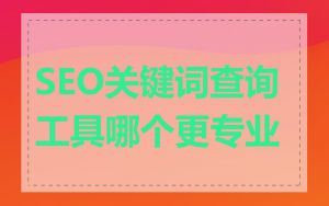 SEO关键词查询工具哪个更专业