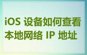 iOS 设备如何查看本地网络 IP 地址