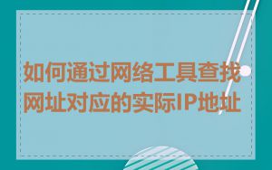 如何通过网络工具查找网址对应的实际IP地址