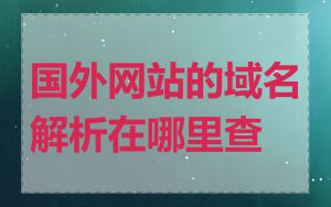 国外网站的域名解析在哪里查
