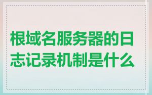 根域名服务器的日志记录机制是什么