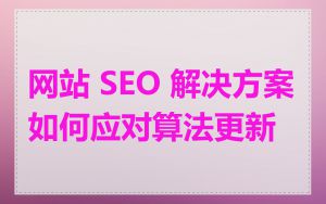网站 SEO 解决方案如何应对算法更新