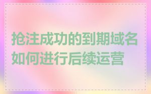 抢注成功的到期域名如何进行后续运营