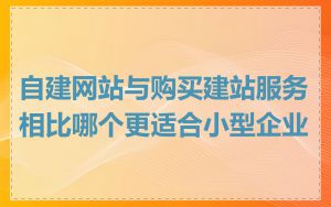 自建网站与购买建站服务相比哪个更适合小型企业